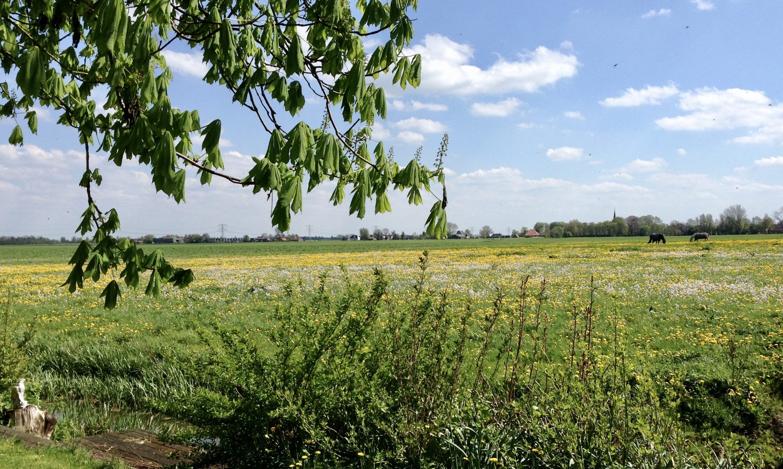 cropped-922D6FFA-AEE4-4D0E-AB37-8FBA2B8B3F7C-scaled-4.jpeg
